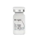 Stayve Whitening Stem Cell Ampoule